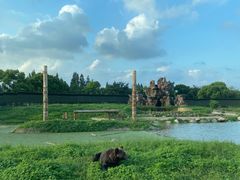 -上海野生动物园