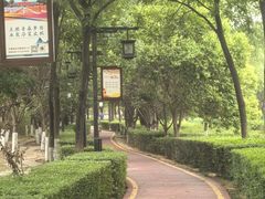 -西安汉城湖景区