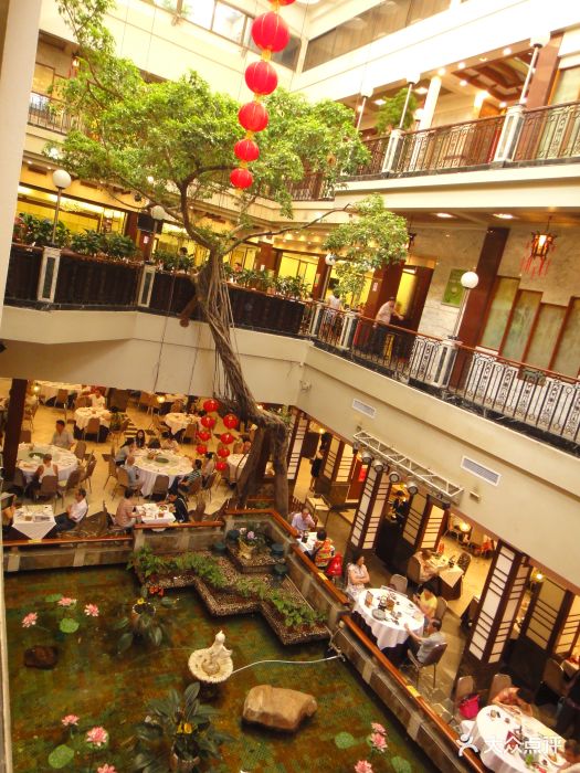 广州酒家(百福广场店)图片 - 第473张