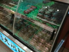 -上海浦东国际机场-T2航站楼