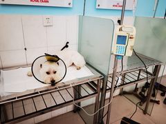 -畜牧兽医站(共江路店)