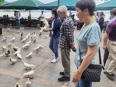 -西湖外事游船(湖滨二公园外事游船码头)