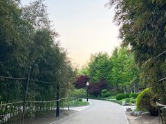 -太阳宫公园