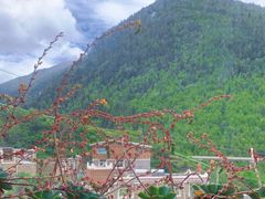 -四姑娘山阿巴郎·藏式花园餐厅