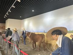 -河北村民俗体验园