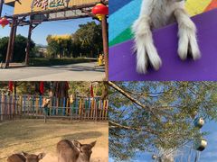 -广东花都香草世界旅游度假区
