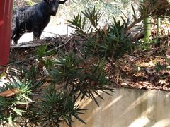 -韶山毛泽东同志故居