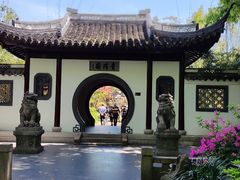 -嘉定紫藤园