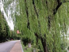 -太阳岛度假酒店