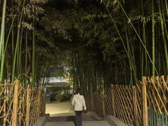 -西安市长乐公园