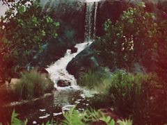 -武清南湖绿博园