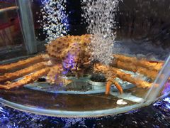 -盒马鲜生(悠方店)