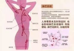 -香薇妮丝·定制减肥·身材管理