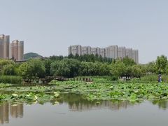 -前关湿地公园