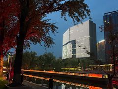 -大望京公园