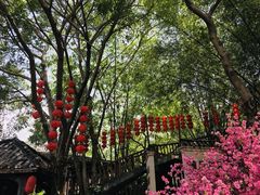 -观澜山水田园