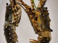 多宝鱼-蓝珊甄选海鲜自助·火锅大排档(近阿那亚店)