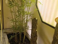 -小厨娘淮扬菜(六合欢乐港店)