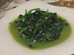 -青叶202都市餐厅(迪诺水镇店)