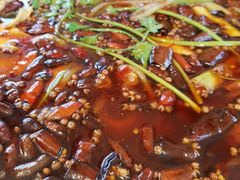-鸿顺老铁锅美蛙鱼府(解放碑店)