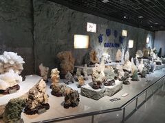 -中国地质大学逸夫博物馆