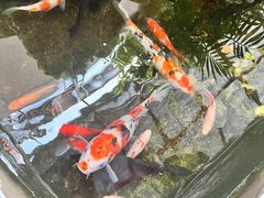 -丽江庭院之爱在路上(西单店)