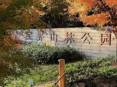 -宝界山林公园