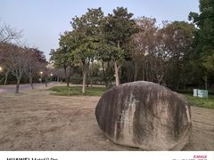 -尚贤河湿地