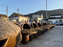 -苏州市吴中区光福窑上花果蜜饯厂