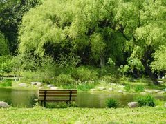 -上海共青森林公园