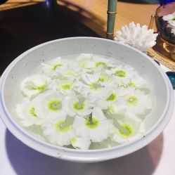 -素可SPA
