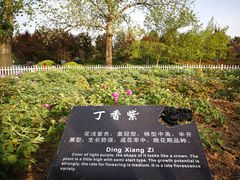 -曹州百花园