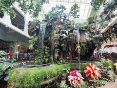 -正佳雨林生态植物园