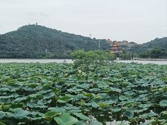 -顺峰山公园