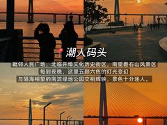 -非遗·金二顺潮汕生腌