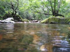 -关门山森林公园