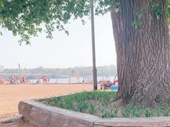 -长春市南湖公园