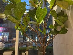 -奈雪的茶(中海环宇荟店)