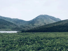 -嵛山岛