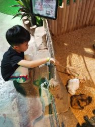 点击看大图 -酷嗒动物文化乐园(cutezoo西溪乐天城店)