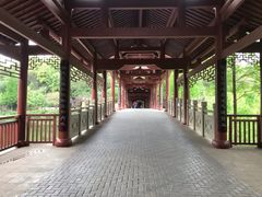 -重庆彩云湖湿地公园