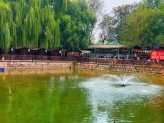 -尚庄度假村·庭台树下·户外烧烤·团建CS·轰趴营地(上庄水库店)