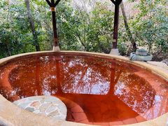 -天目湖涵田半山温泉