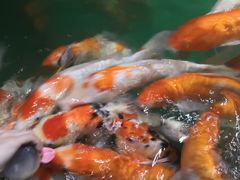 -多彩贵州城极地海洋世界