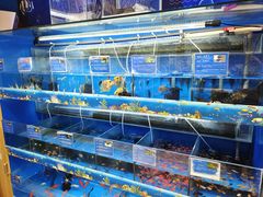 -大润发(何山店)