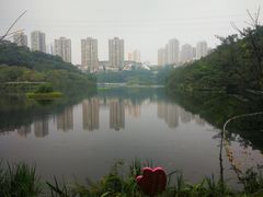 -重庆彩云湖湿地公园