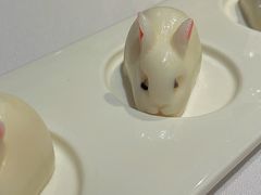 玉兔椰奶冻-南宁荔园维景国际酒店·荔园中餐厅