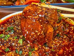 -柴窝堡22号辣子鸡·传承新疆菜