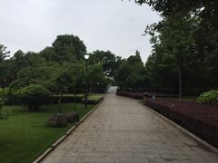 -河泥荡文化公园