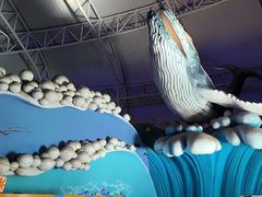 -烟台海昌鲸鲨海洋公园